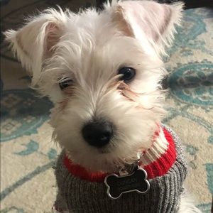 Meet your Posher, Brad